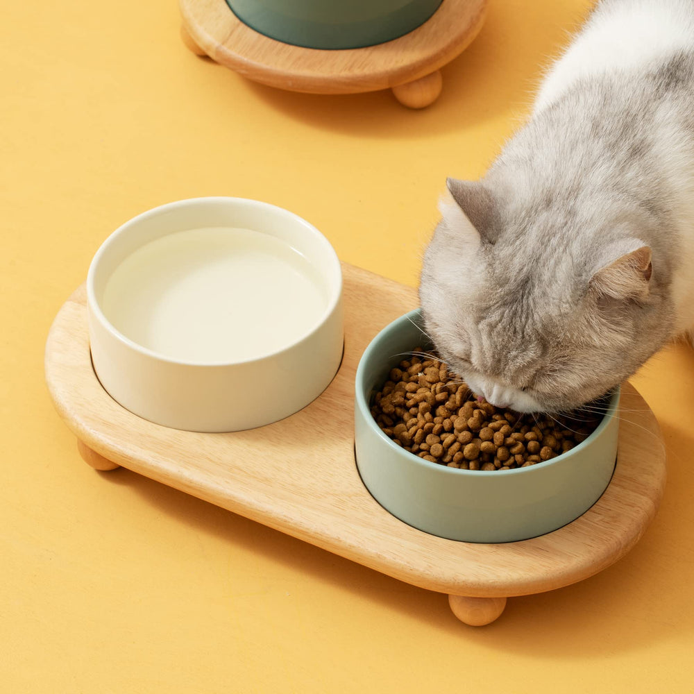 Havniva indoor cat elevated feeder for comfortable eating