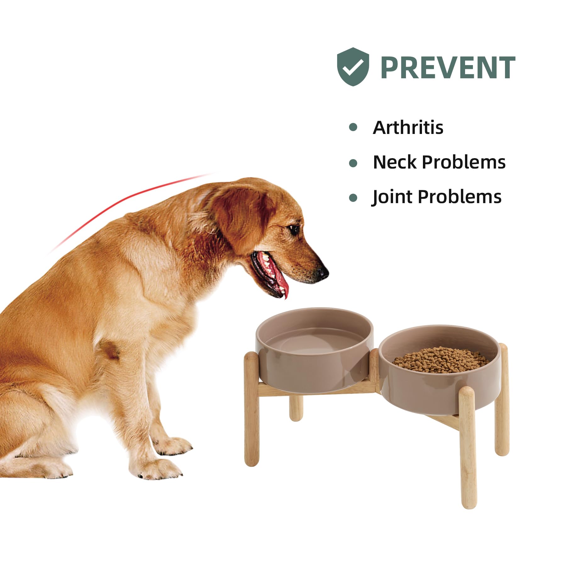 Havniva large-breed feeder on wooden stand supports comfortable meals.
