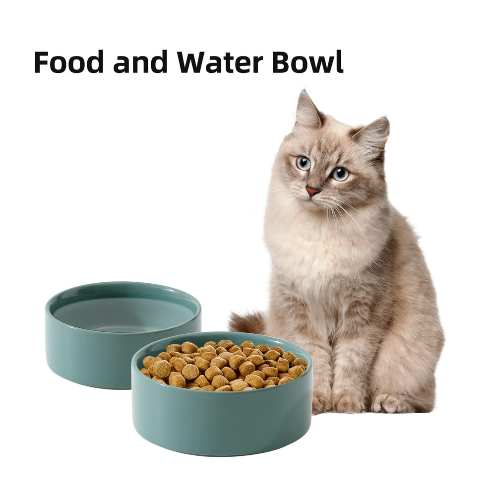 Havniva large 13 oz capacity supports dry or wet food and water.