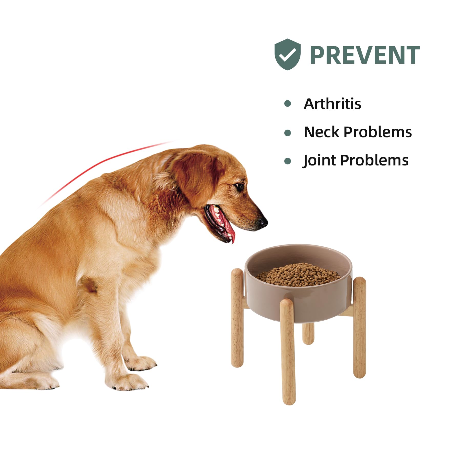 Havniva large-breed dish supports bigger mouths and longer meals