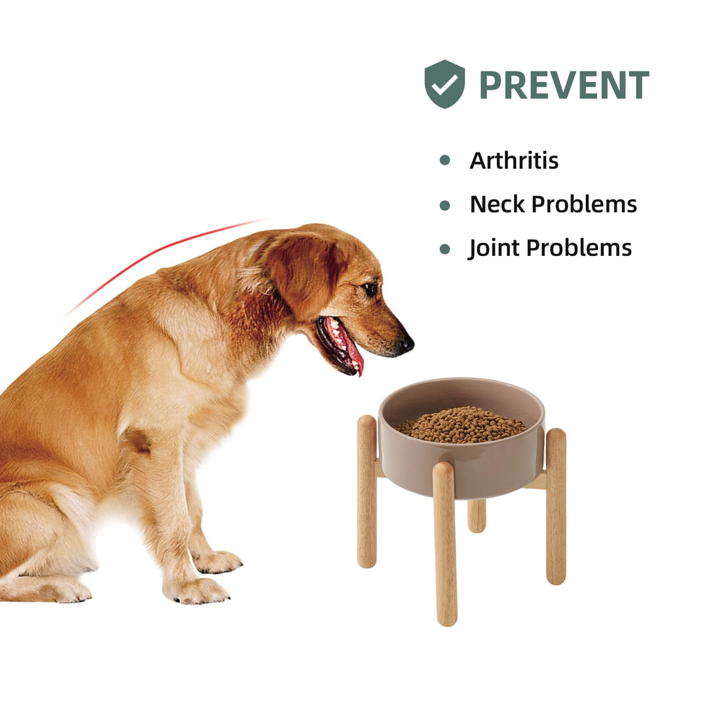 Havniva large-breed dish supports bigger mouths and longer meals