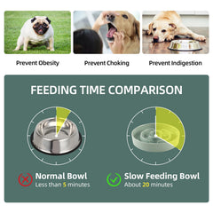 Havniva lead-free ceramic for safe daily use
