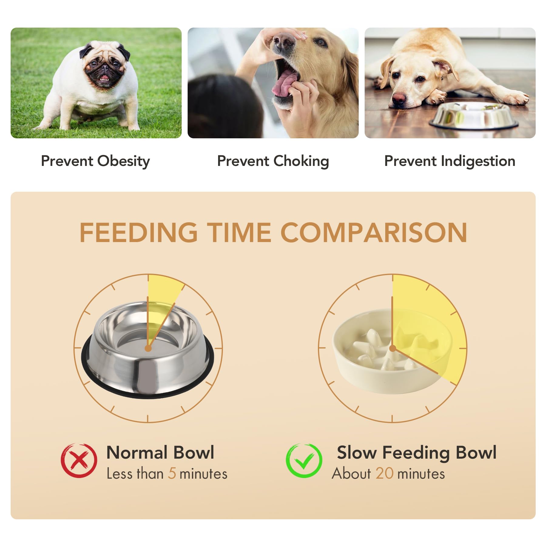 Havniva lead-free ceramic ensures safe, durable daily use.