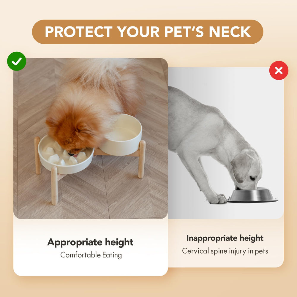 Havniva light-yellow bowls with stand offer stylish pet dining.