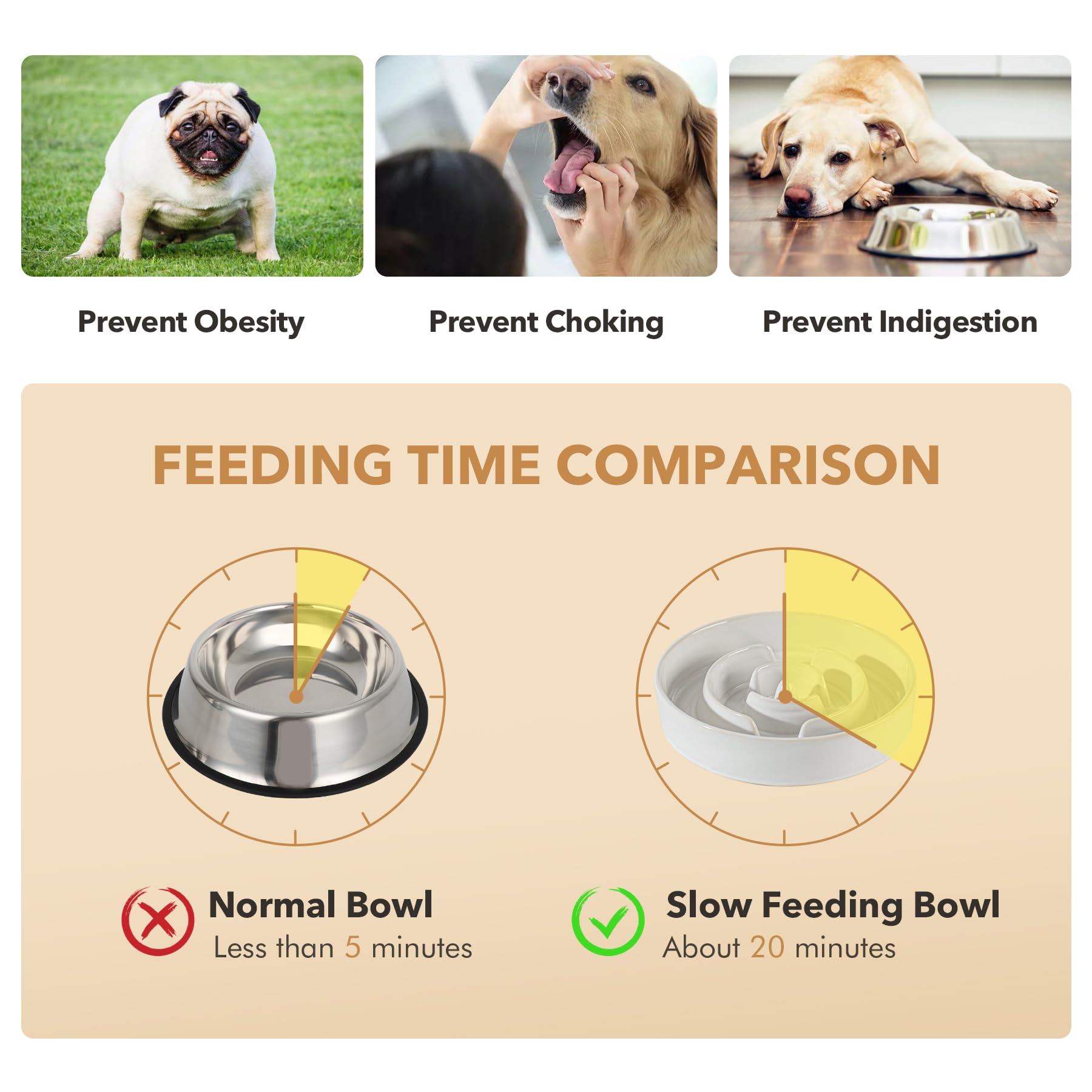 Havniva maze-pattern bowl invites interactive feeding and slower pacing.