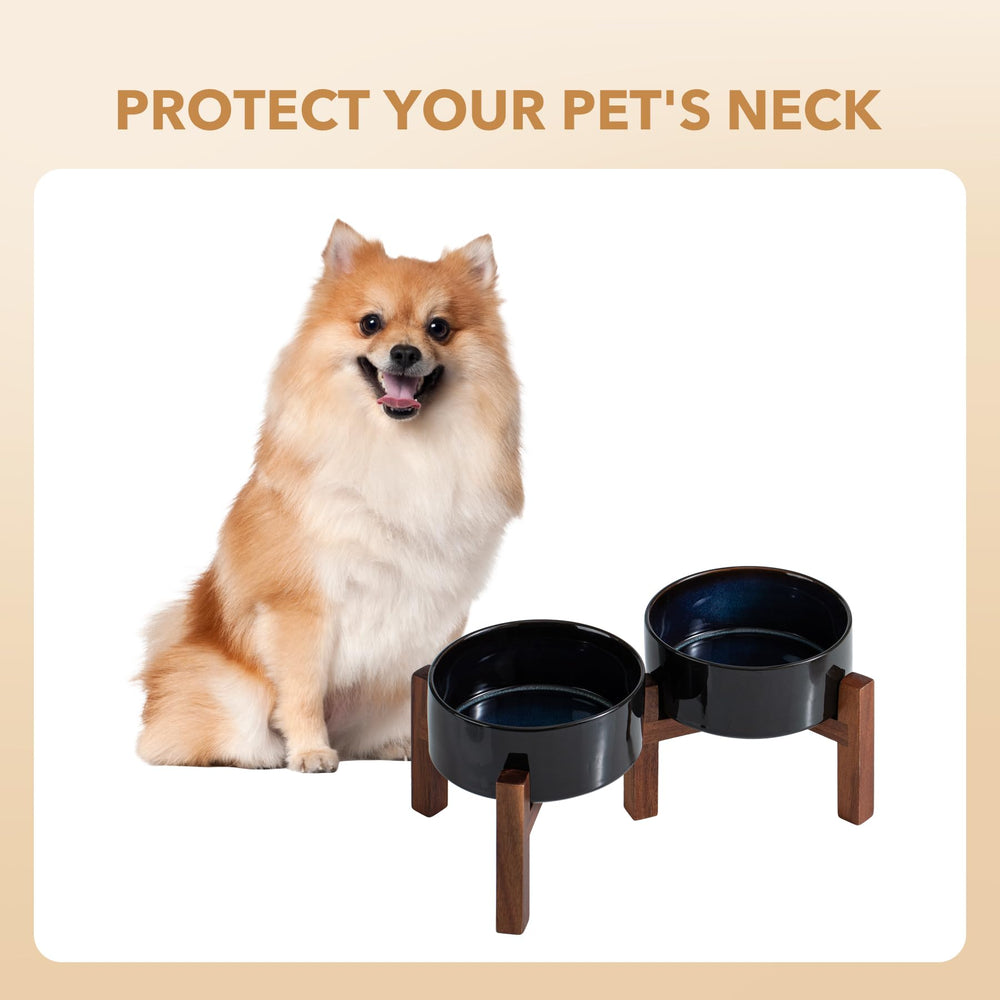 Havniva six-point-one-inch diameter bowl holds kibble or water.