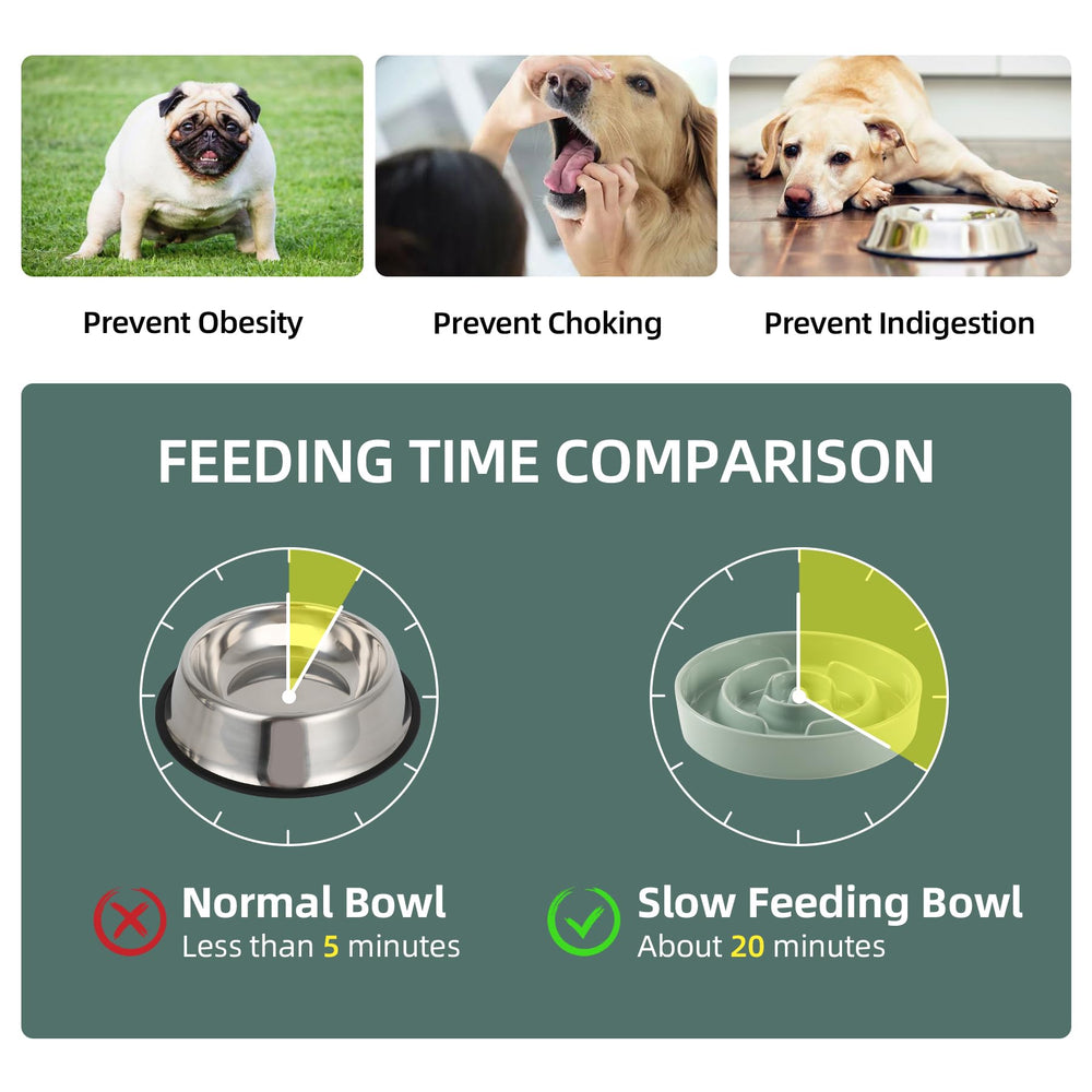 Havniva slow-feed ridges lengthen meals and curb fast eating