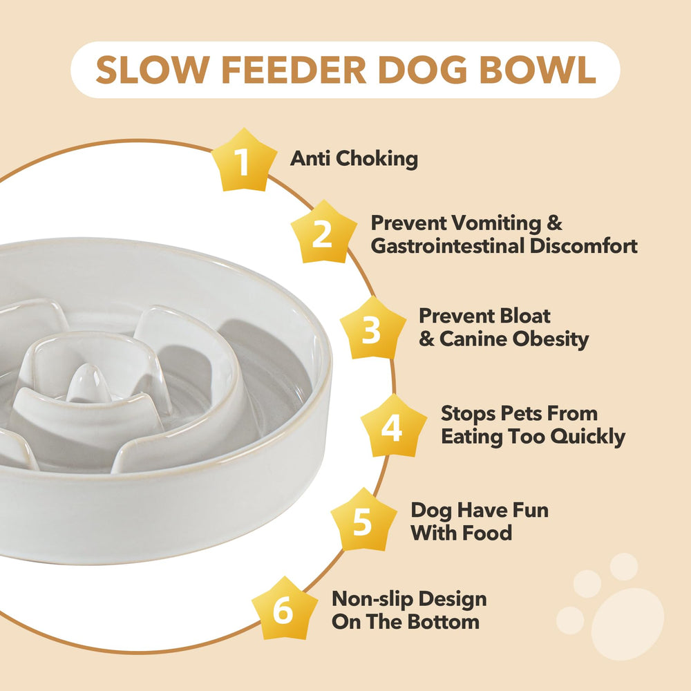 Havniva 1.2-cup capacity suits small dog meals.