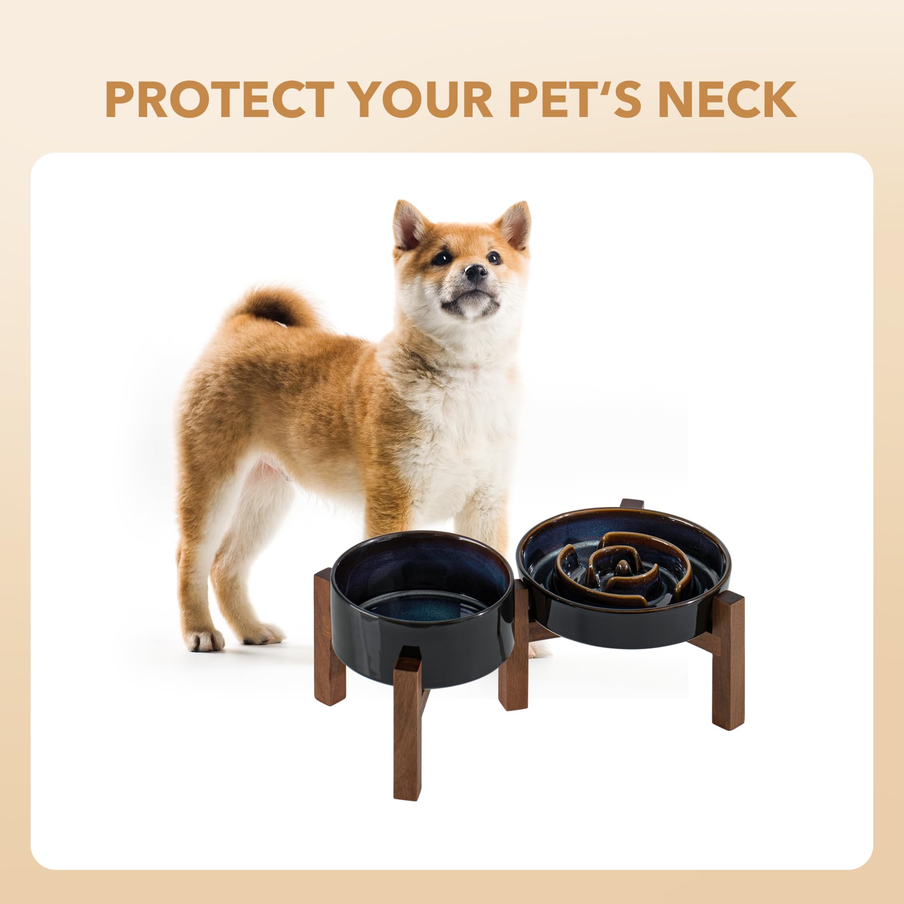 Small-dog friendly set supports measured portions during feeding.