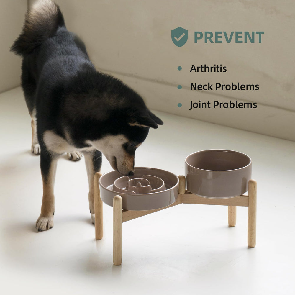 Havniva two-pack slow feeder bowls provide convenience and consistency.