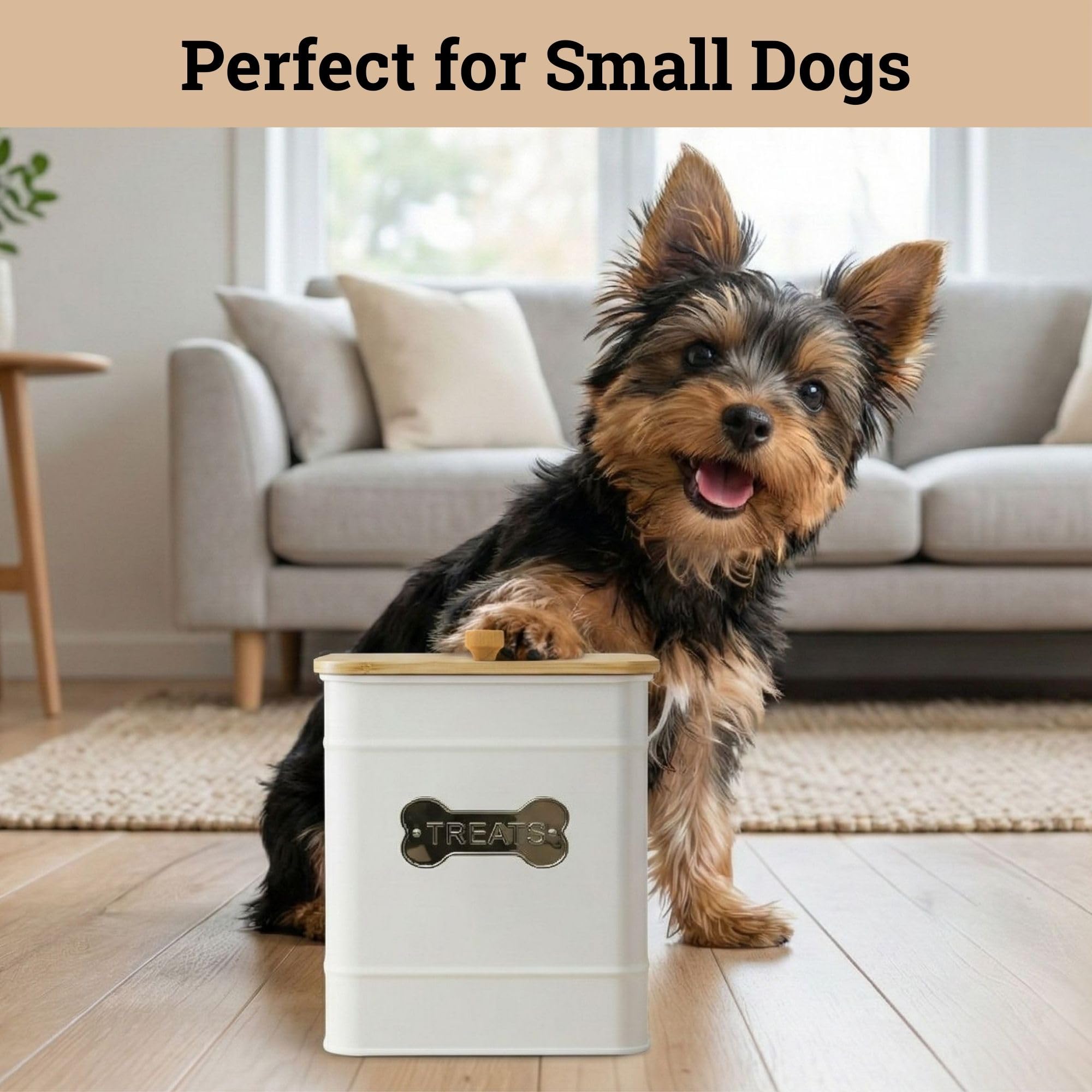 HB Design Co. bamboo lid seals moisture and preserves crunch in treats.