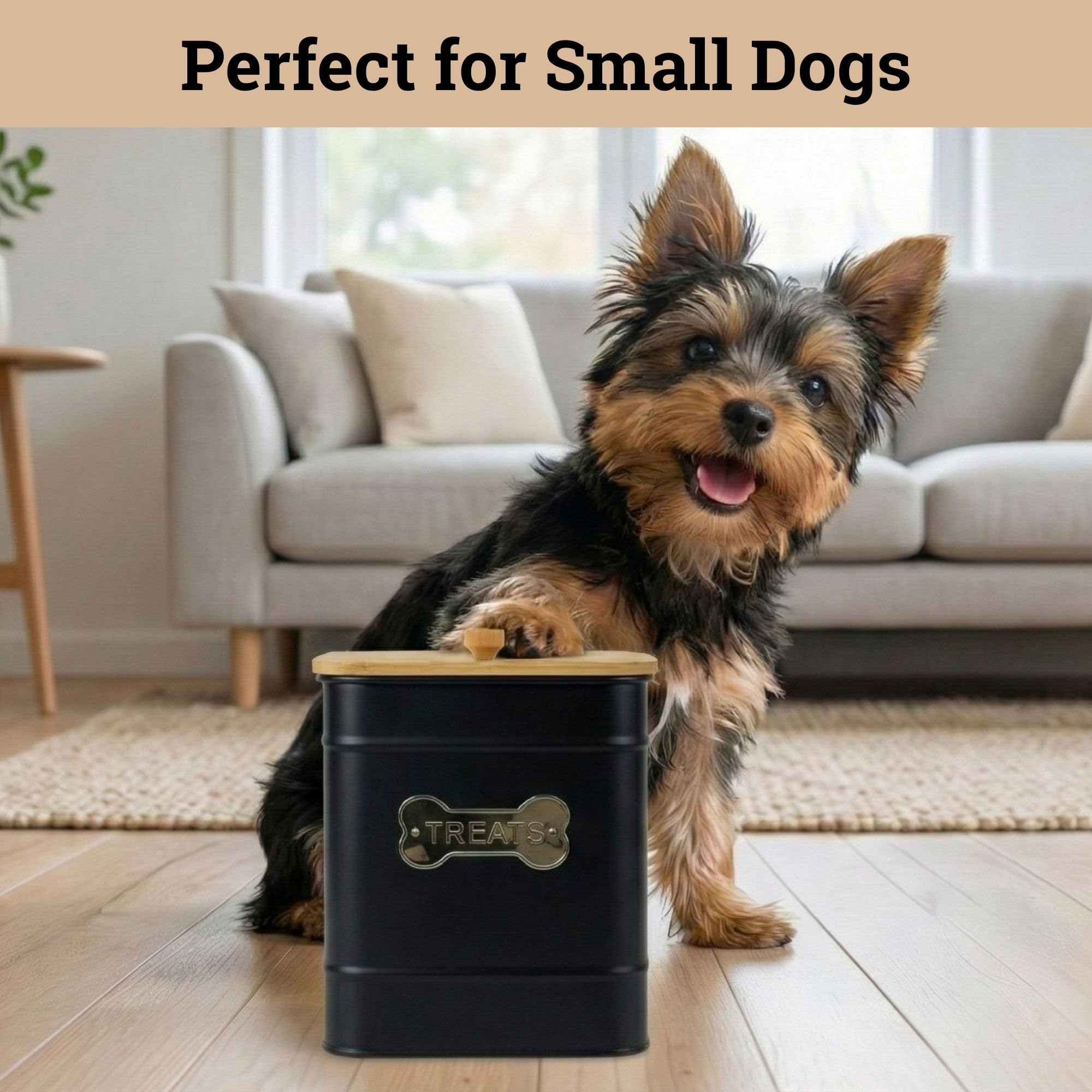 HB Design Co bamboo-lid dog treat jar emphasizes moisture protection and natural material