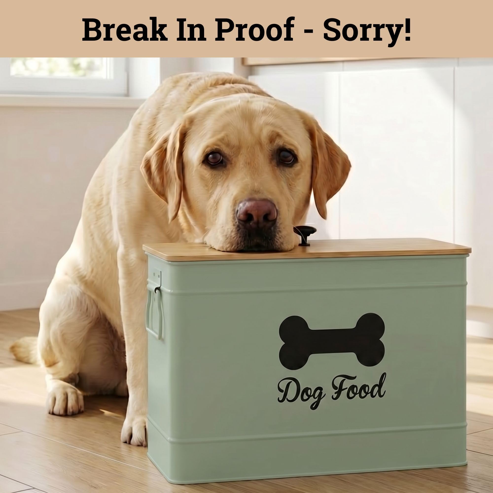HB Design Co big pet jar suitable for large dogs’ kibble storage.