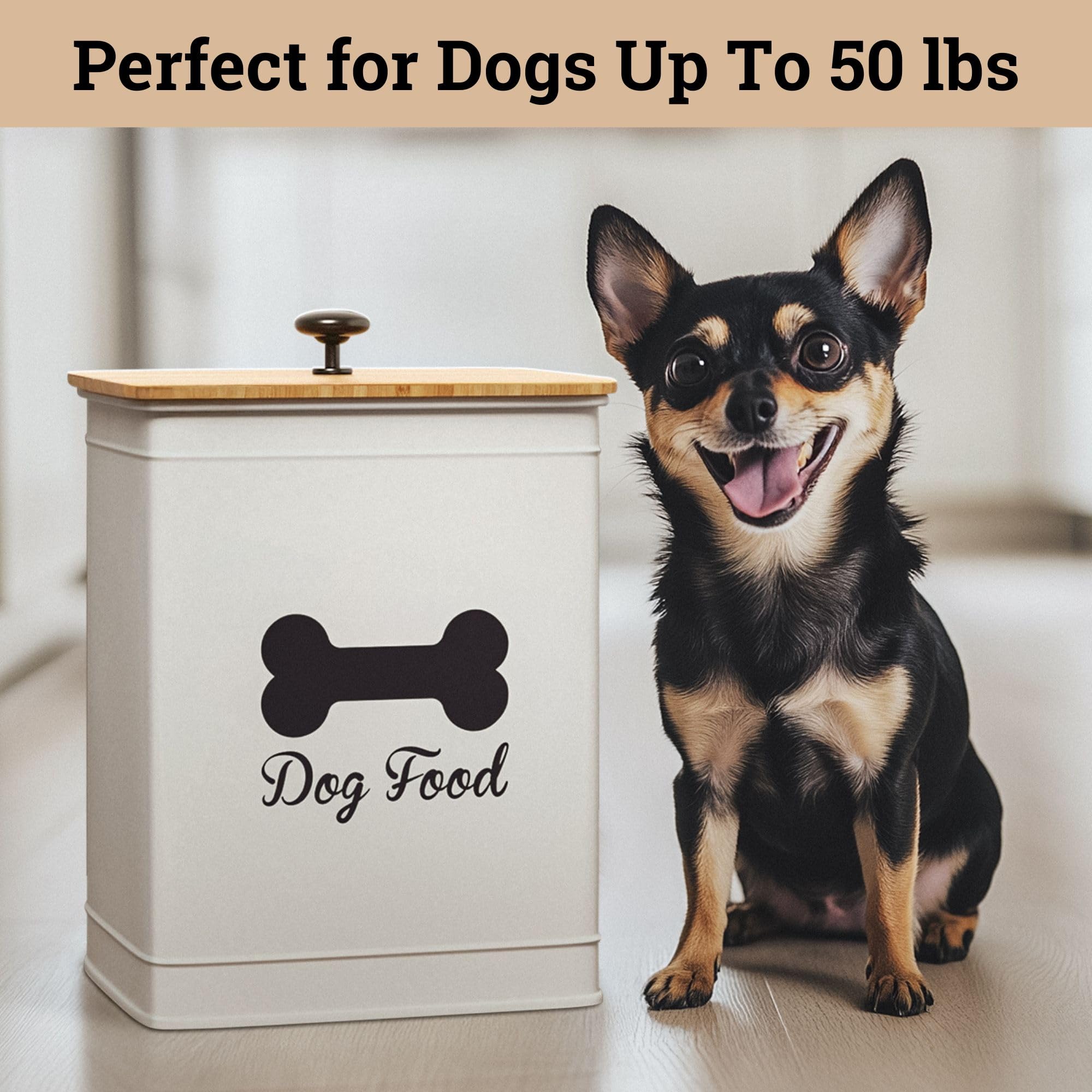 HB Design Co. kibble bin showcases stylish display and practical storage