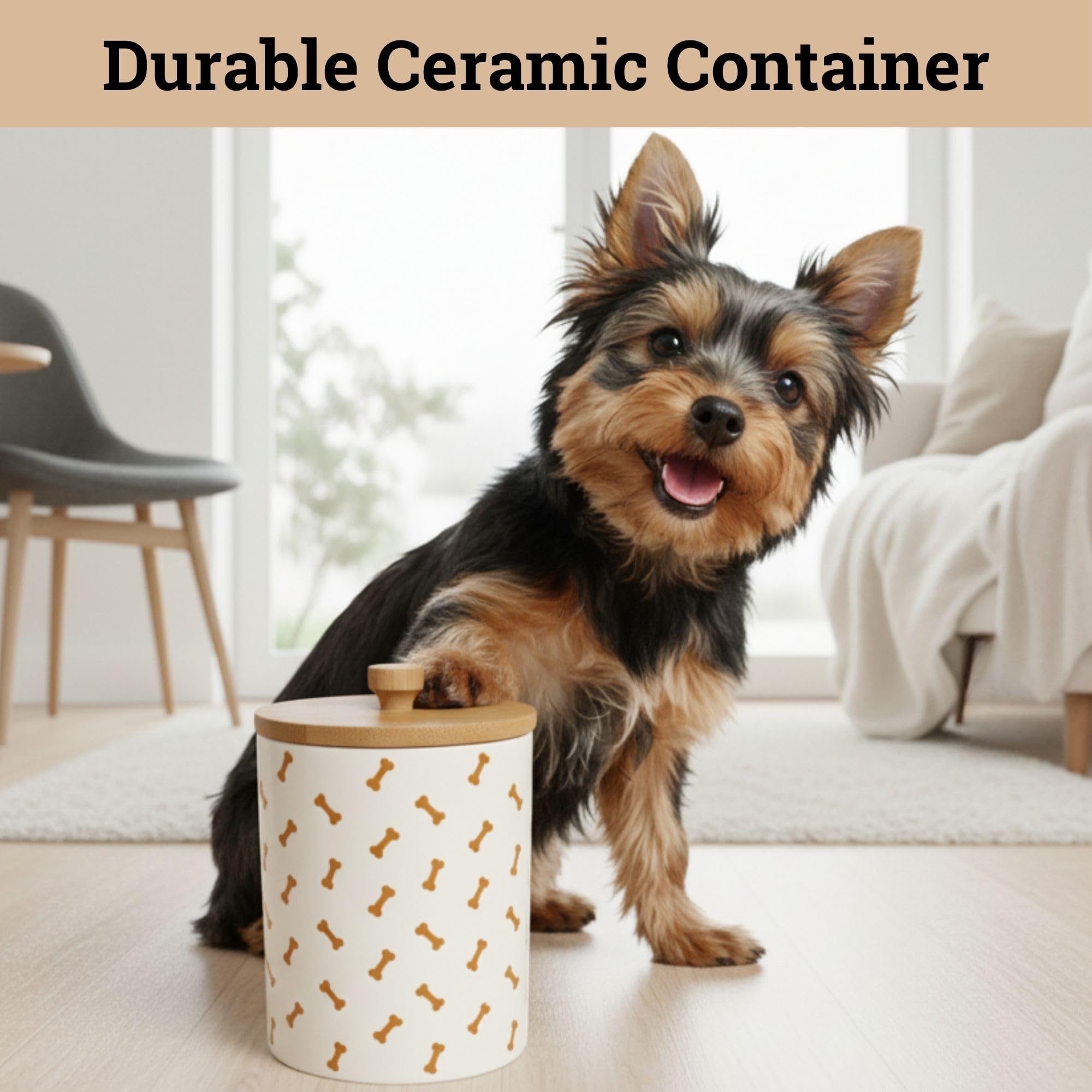 HB Design Co. sturdy ceramic jar with bamboo lid seals moisture for treats.