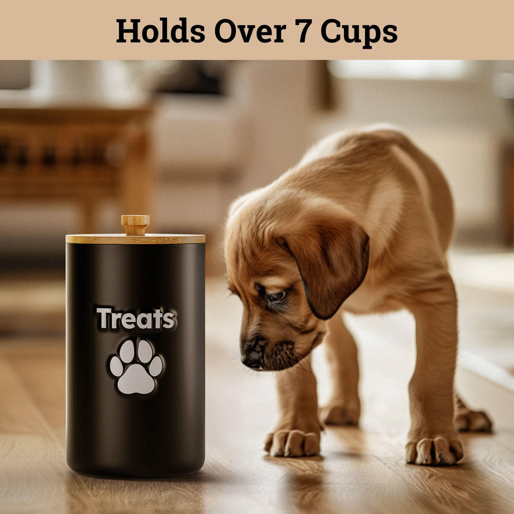 HB Design Co dog treat container on counter styled decorative and functional.