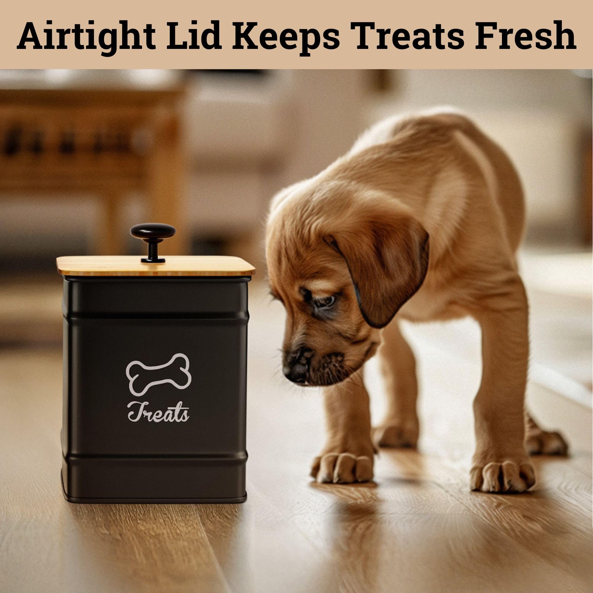 HB Design Co. counter-friendly dog treat jar for easy access.