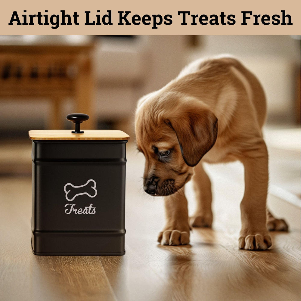 HB Design Co. counter-friendly dog treat jar for easy access.