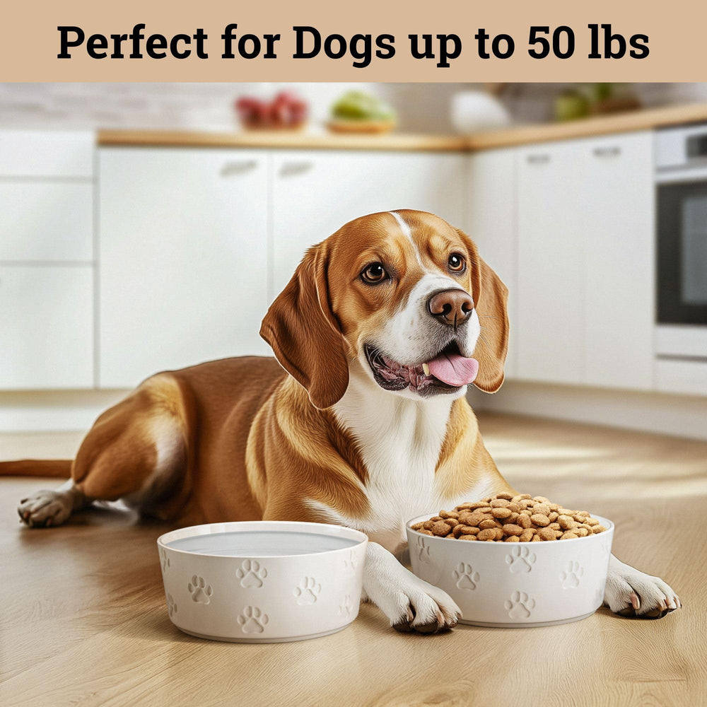 HB Design Co matching treat container complements the bowls for a coordinated set.
