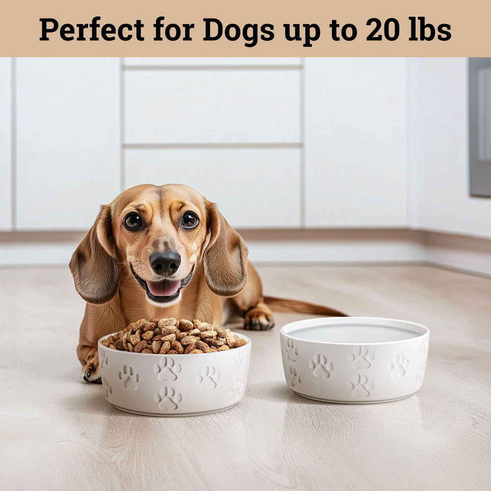 HB Design Co paw-imprint ceramic bowls add charm to kitchen or pet area.