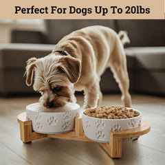 HB Design Co small dog bowls, 5-inch diameter and 2-inch height for tiny breeds.