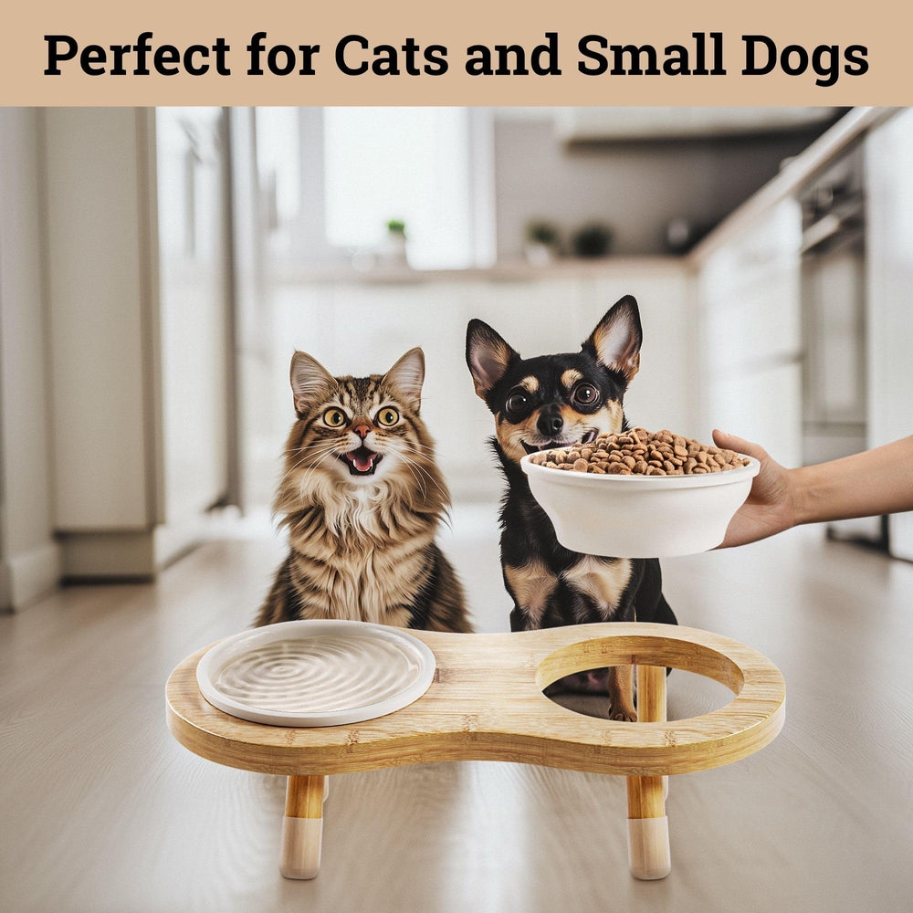 HB Design Co white ceramic pet bowls, dishwasher and microwave safe