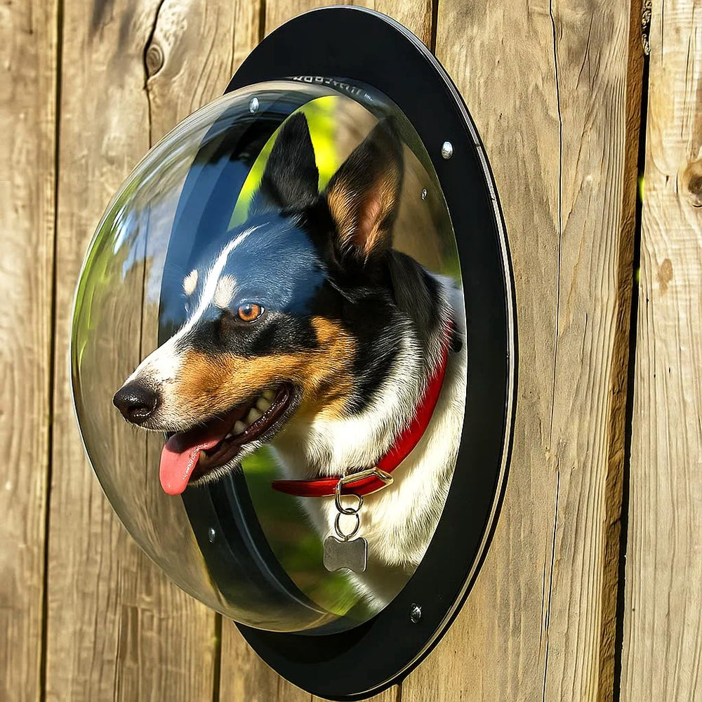 H&B Luxuries durable acrylic dome dog window on a fence enables safe outdoor viewing.