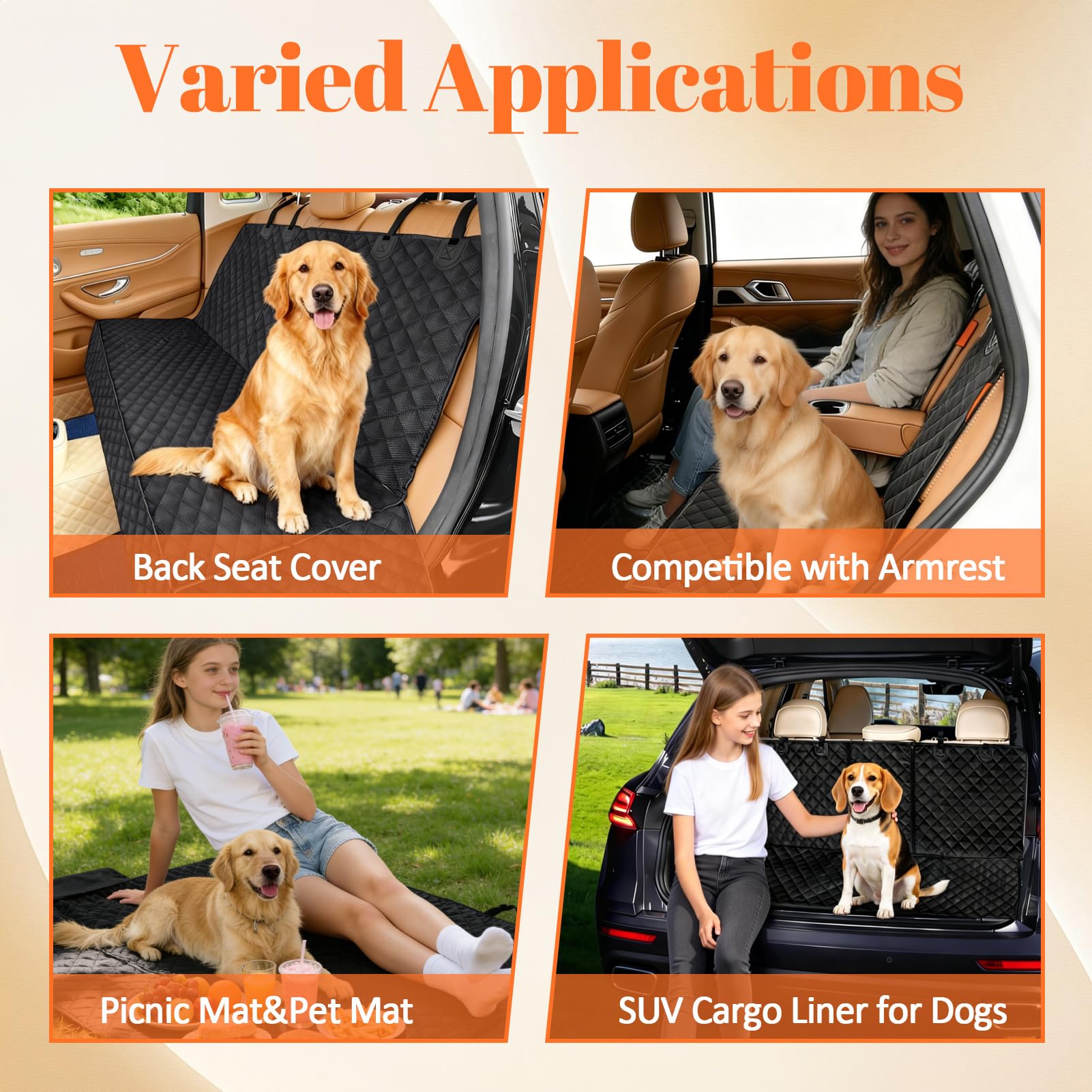 HCCW includes dog seat belt for safer rides