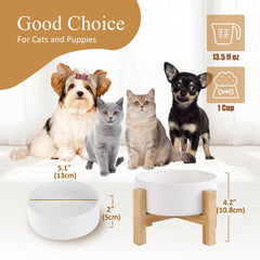 HCHLQLZ porcelain cat bowl close-up showing lead-free material.
