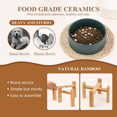 Dog eating from flat-faced friendly bowl designed for whisker comfort