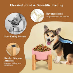 HCHLQLZ no-spill design helps keep floors clean after meals.