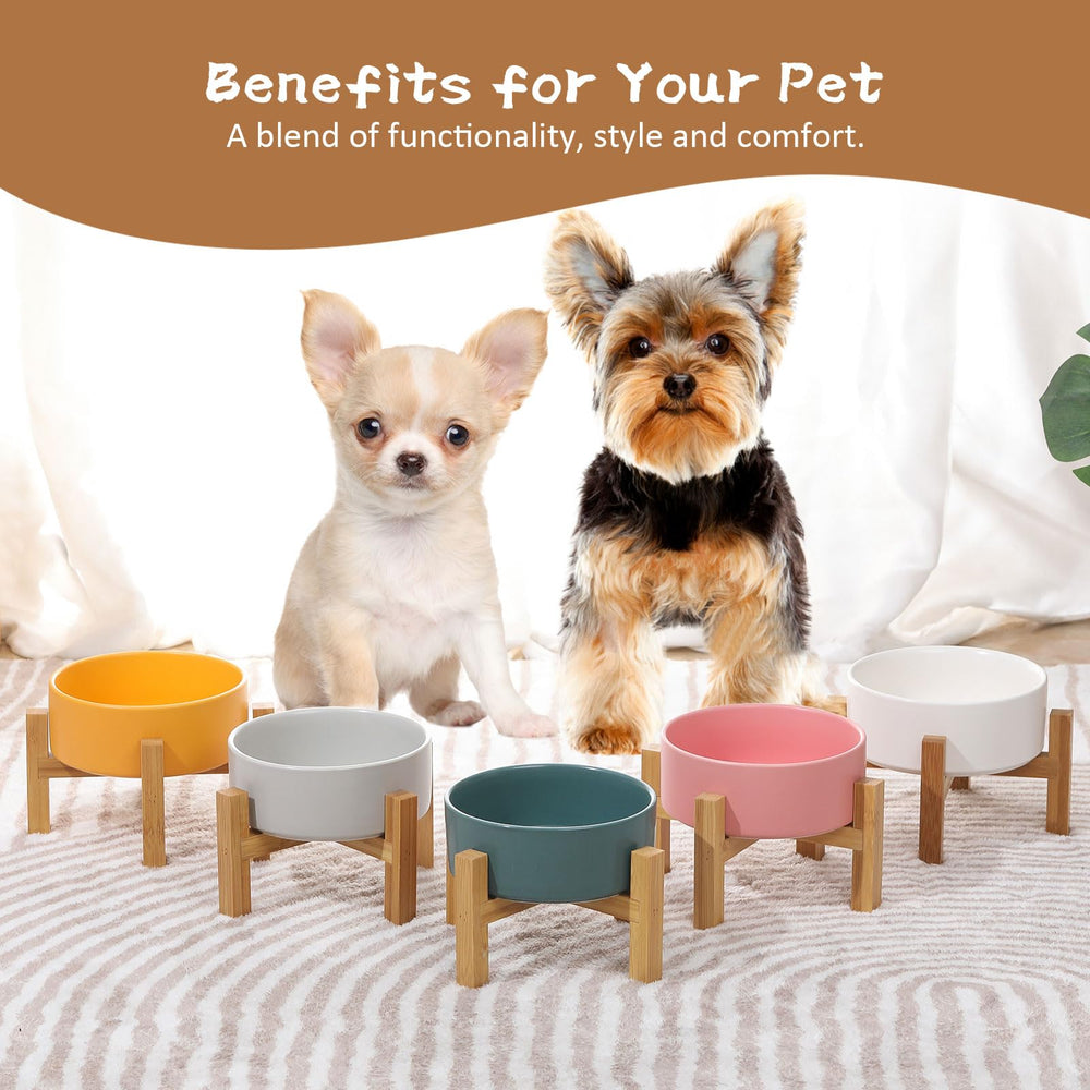 HCHLQLZ pink pet dining bowl ready for cats and small dogs