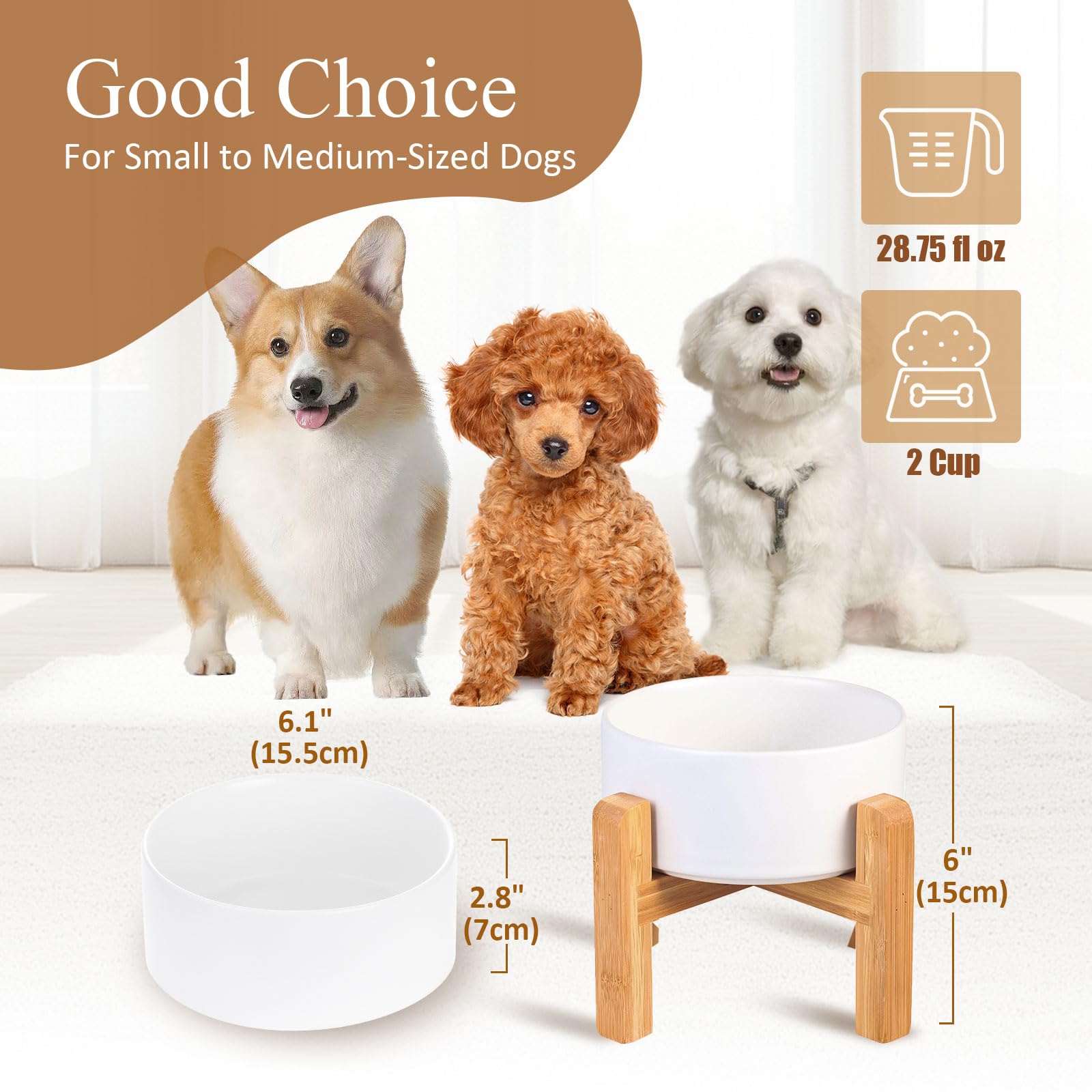 HCHLQLZ porcelain cat bowl dishwasher-safe for easy cleaning after meals