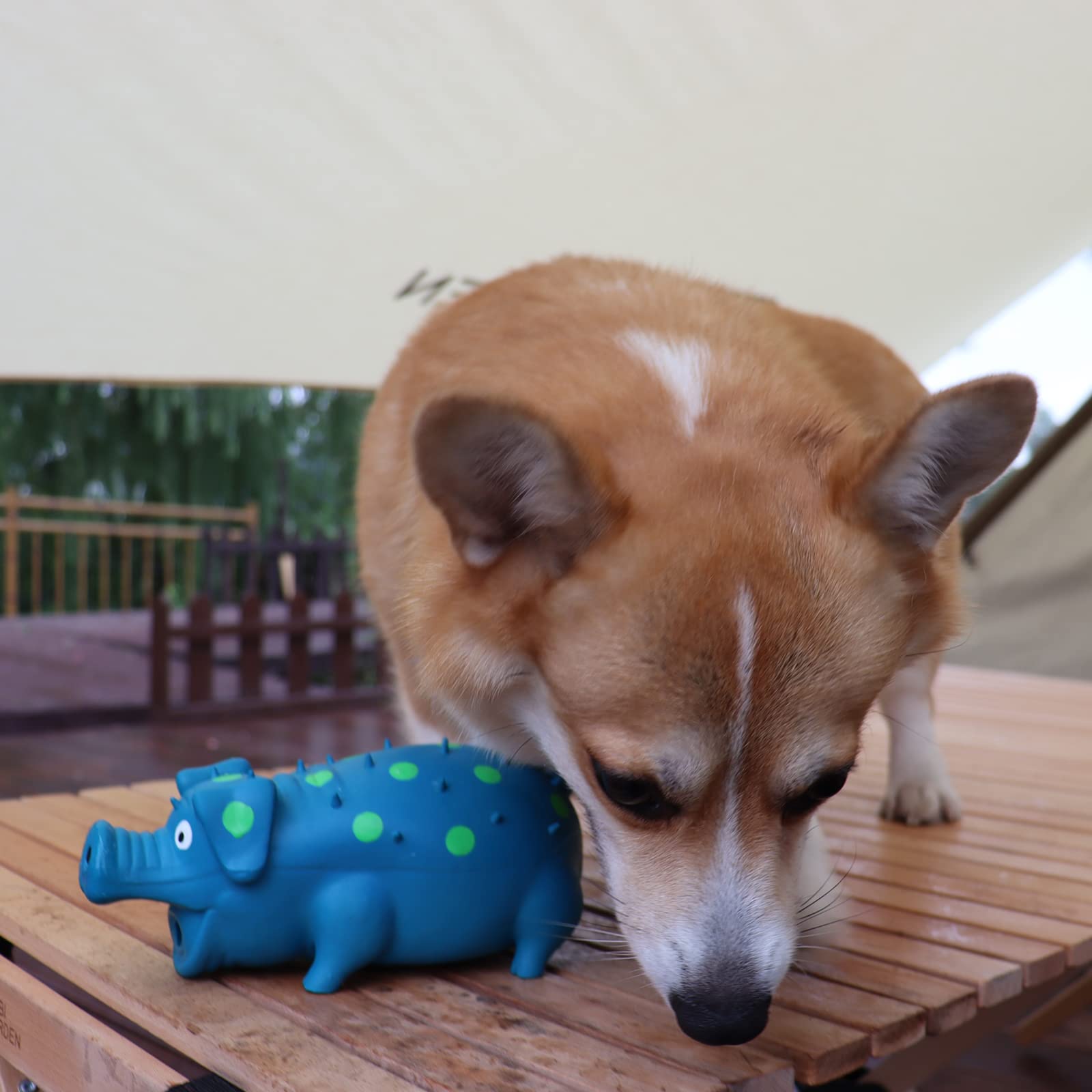 HCHYEY durable latex dog toy withstands chewing.