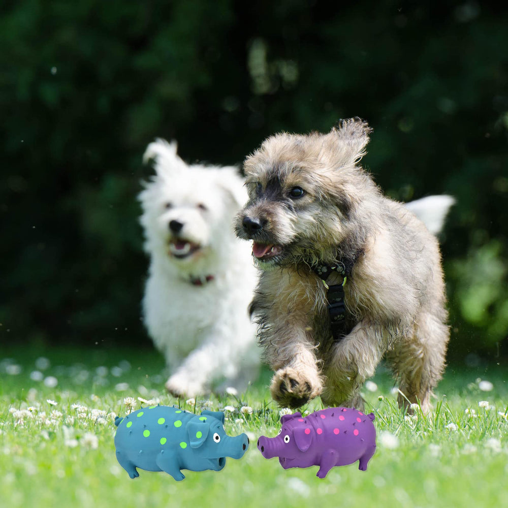 HCHYEY bounce-back design supports lively play.