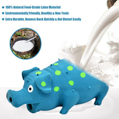 HCHYEY pig toy with visible squeaker for entertainment.