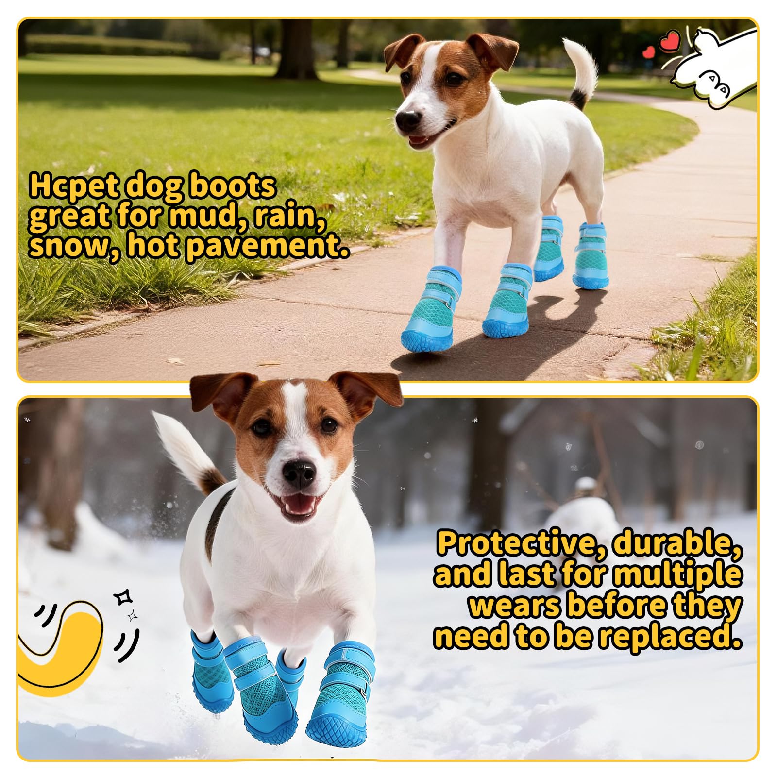 Hcpet size chart display helps choose the right fit for small dogs.