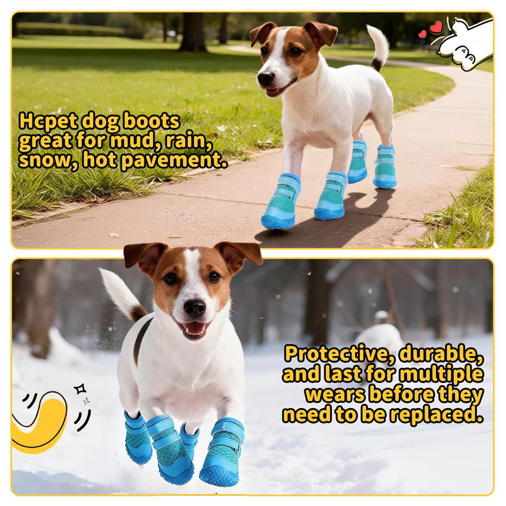 Hcpet size chart display helps choose the right fit for small dogs.