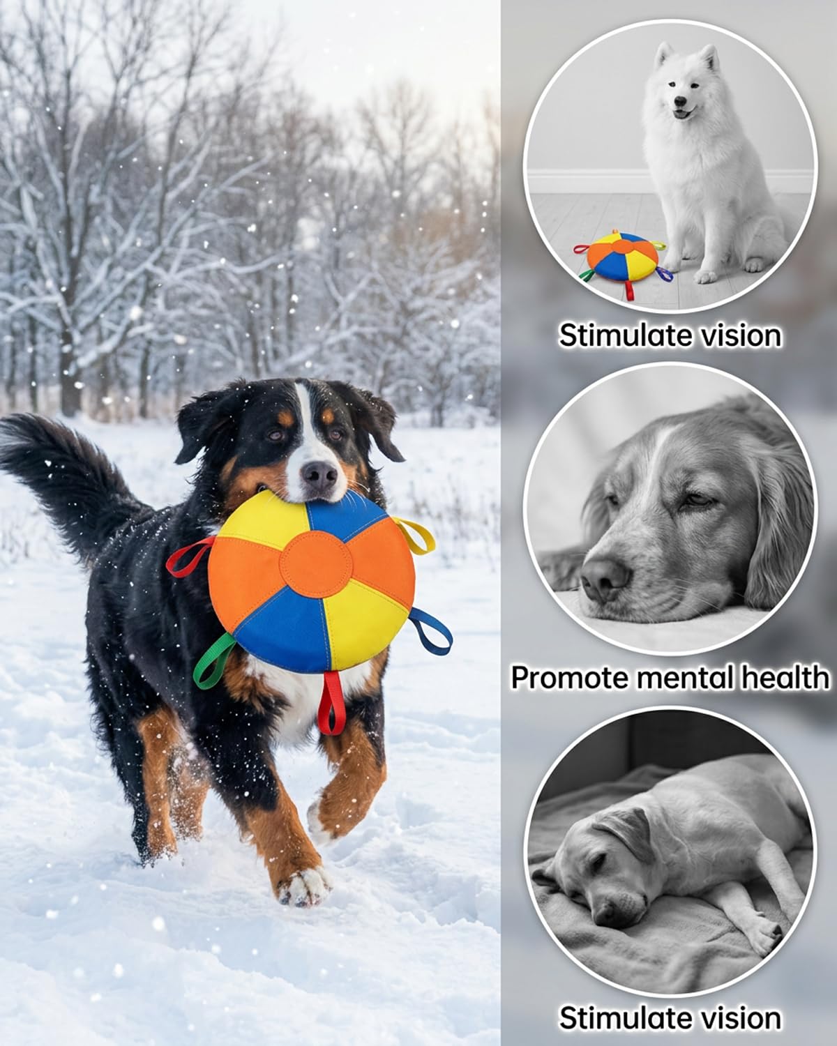 HCPPKZL Calming Jumbo Ball with heavy-duty handle offers easy grip.