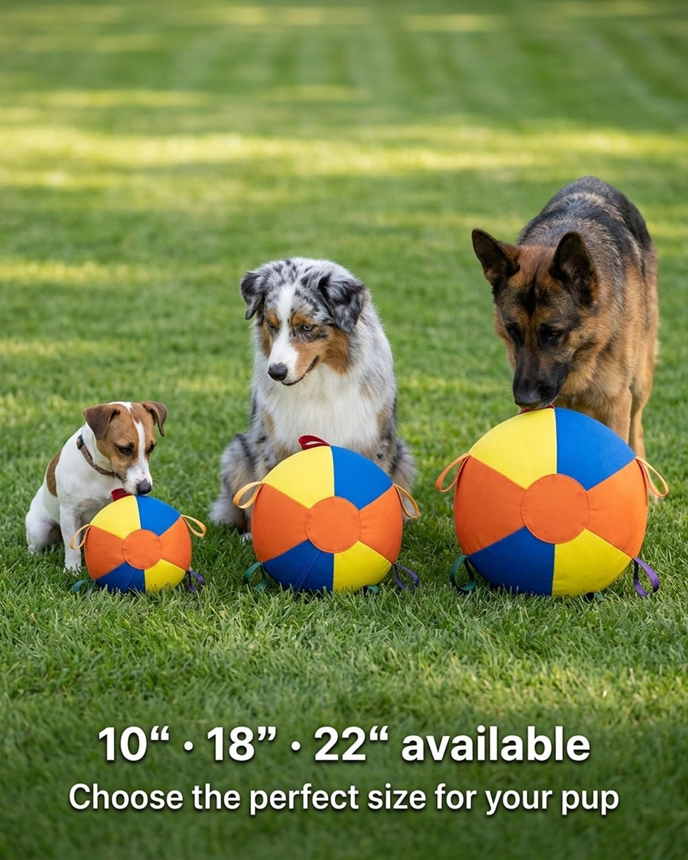 HCPPKZL Calming Jumbo Ball for active herding, channels instinct into controlled play.