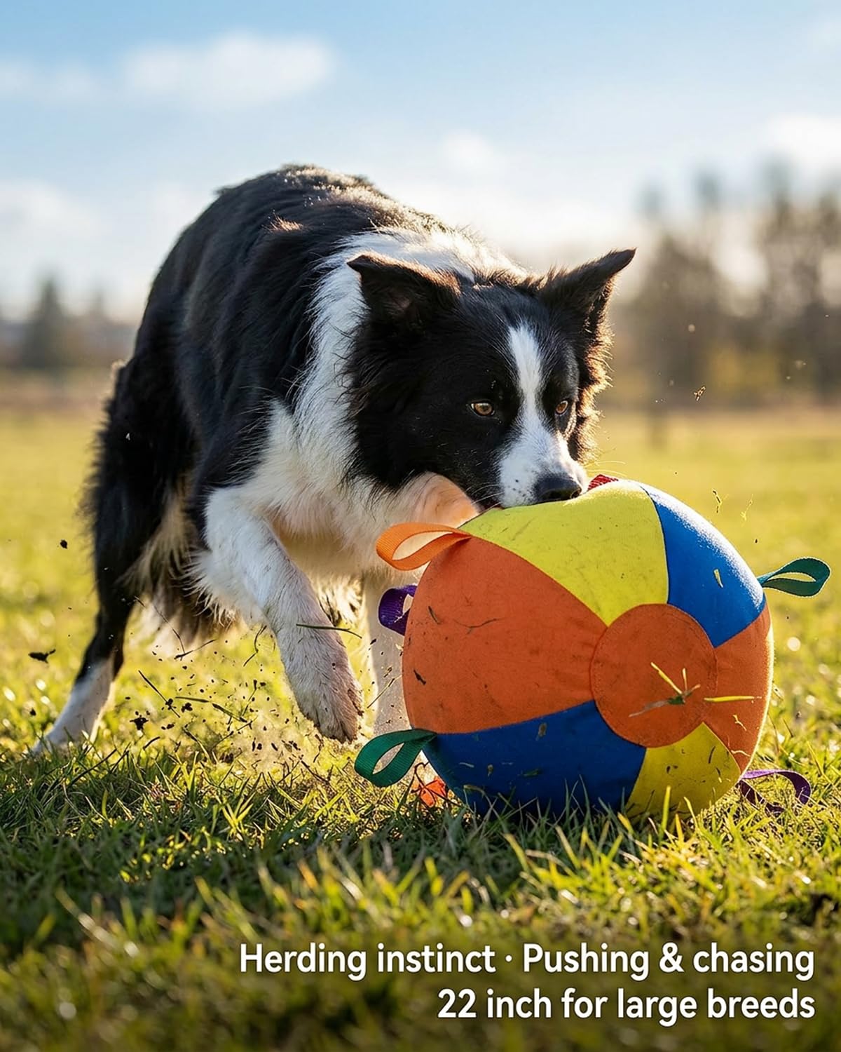 HCPPKZL Calming Jumbo Ball strap handle enables versatile games and fetch.