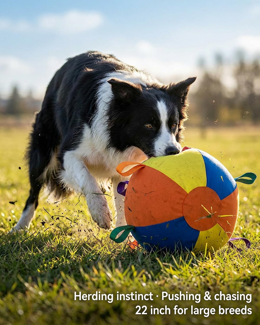 HCPPKZL Calming Jumbo Ball strap handle enables versatile games and fetch.