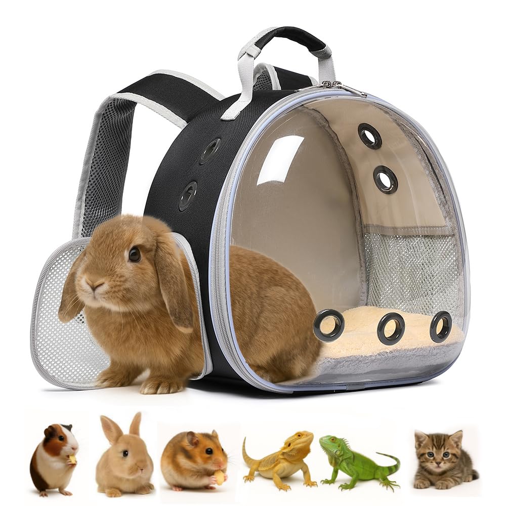 Hcupet Bunny Carrier front window gives pets a calming outdoor view.