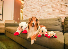 HDP Lambchop plush dog toy 24-inch white with squeaker, for interactive fetch and tug