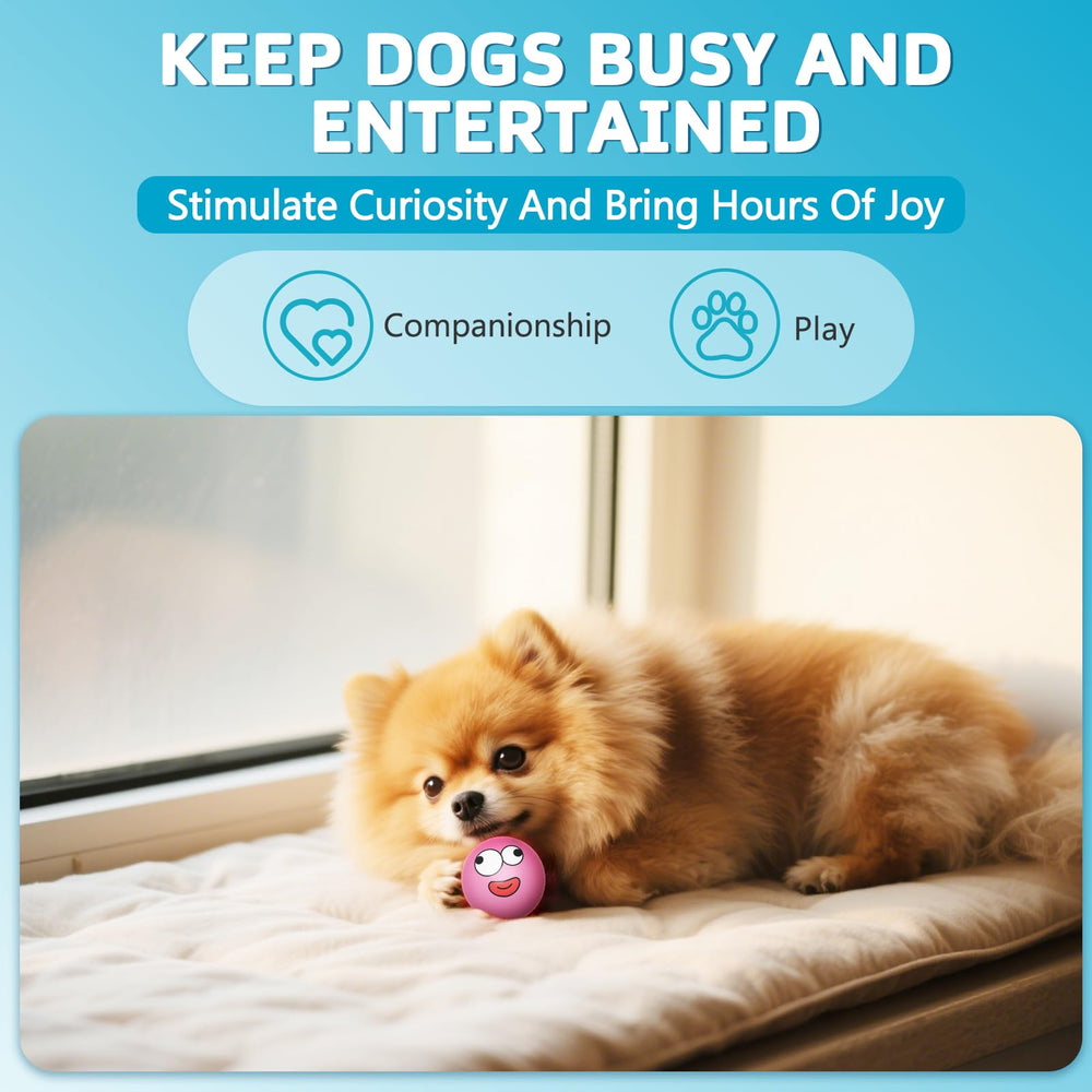 HDSX Squeaky dog ball in pink invites chase