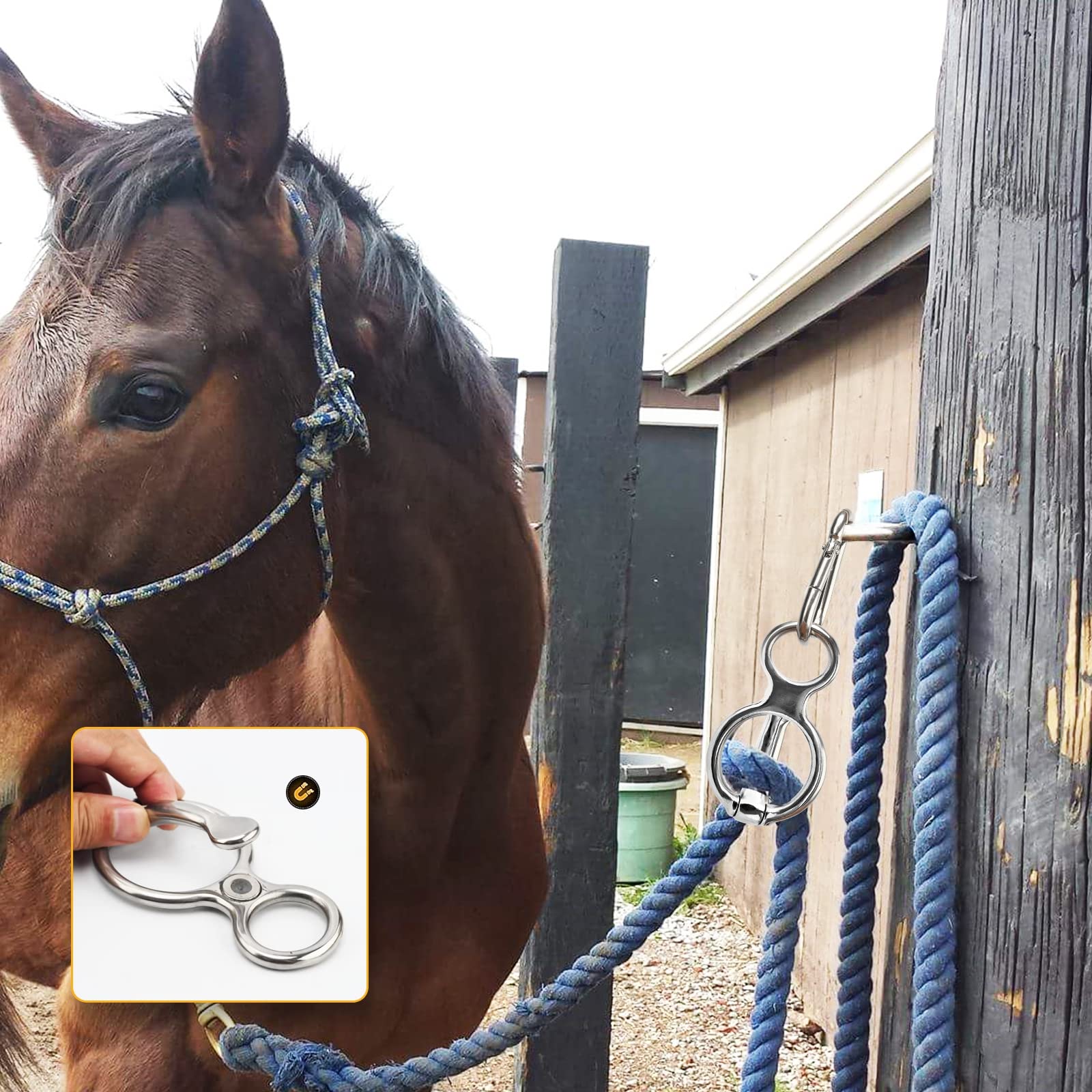 HDYEGY tie ring in barn setup demonstrates humane, safe tying in practice