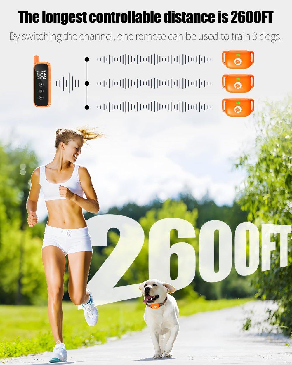 Heaflex collar provides a 2600ft range for outdoor recall training.