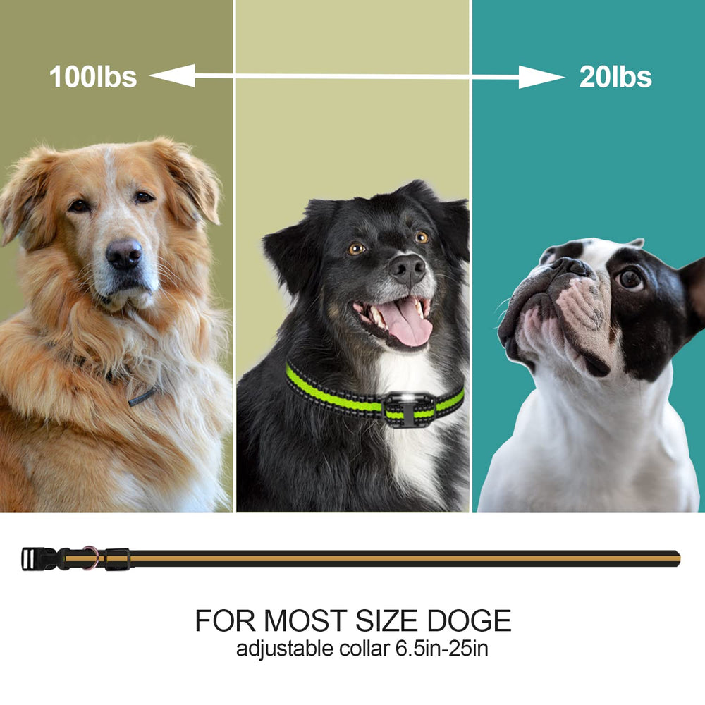 Heaflex receiver collar shown on dog for durable performance during training.