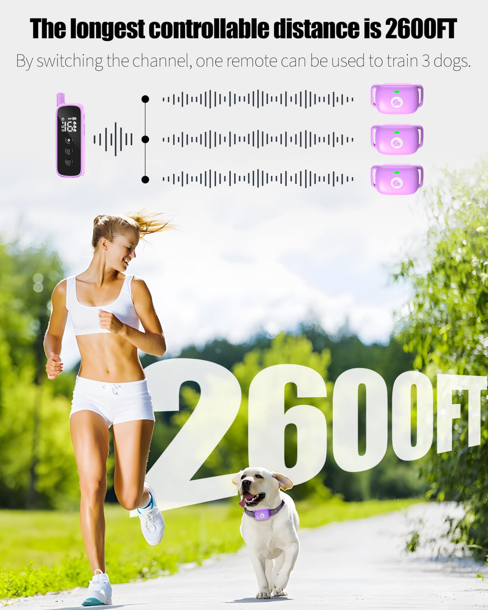 Heaflex dog collar with security lock prevents accidental activation during play.