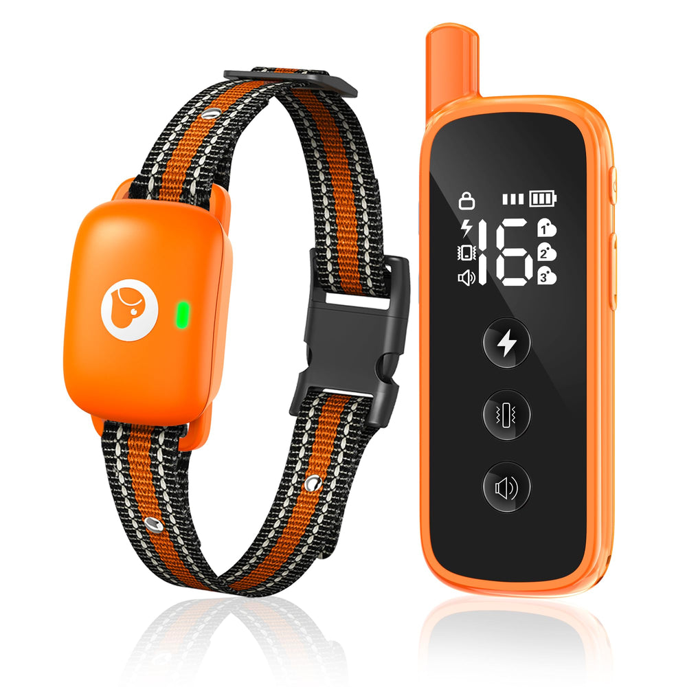 Heaflex orange receiver close-up for reliable training sessions